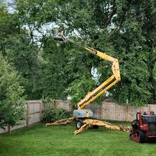 Lawn Grading and Leveling in Hazel Dell, WA